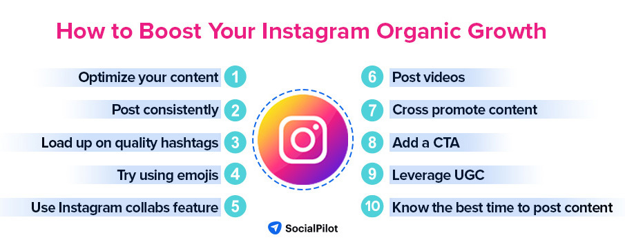 instagram organic growth