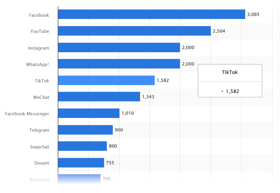 TikTok Usage Stats