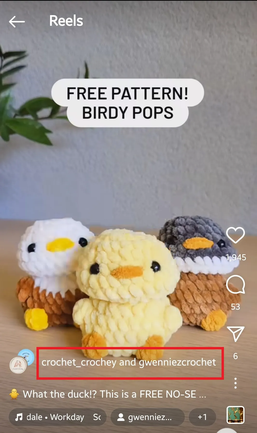 free pattern birdy pops